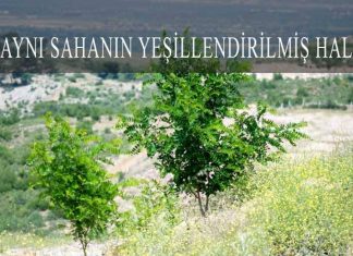 Balıkesir, Havran, Altın Madeni