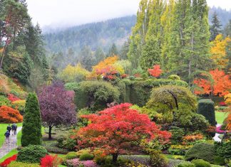 Doğaya ve Ekonomiye Kazandırmanın En Güzel Örneklerinden: Butchart Gardens Butchart Gardens