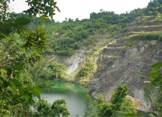 Altın Madeninde Bir Botanik Park… Rehabilitasyon